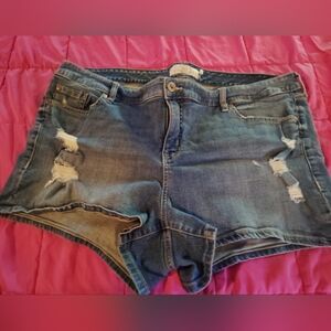 Torrid Distressed Denim Women's Shorts